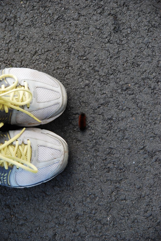 run lipstick chemo breast caner